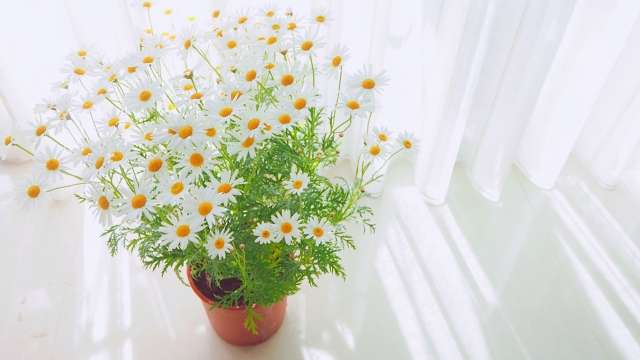 40代女性(会社員・M様)